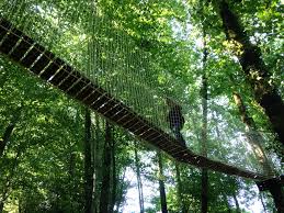 Image result for PONT DE SINGE