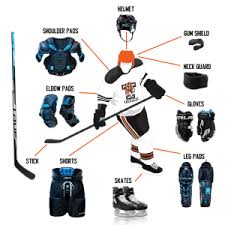 Image result for Telford Tigers