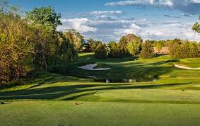 Image result for Flint Golf Club