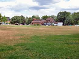 Image result for Wraysbury Cricket Club