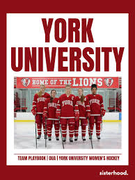 Image result for York University Street Hockey Club