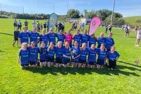 Image result for Erin`s Own Gaelic Athletic & Social Club