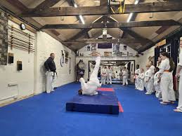 Image result for Chikara Dojo Of Kyokushin Karate