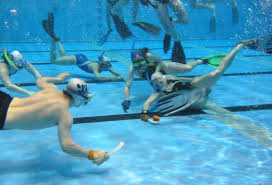 Image result for Worcester Divers Octopush Club