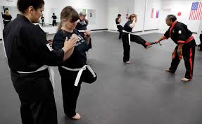 Image result for Dallo Martial Arts