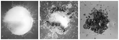 Attēlu rezultāti vaicājumam “Craterium minutum cf. var. brunneum spores”