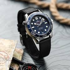 Image result for Maverick Divers