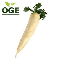 Image result for Rettich