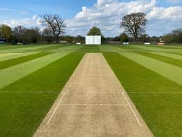 Image result for Woolpit Cricket Club