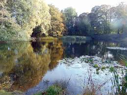 Image result for Penketh & Old Hall Angling Society