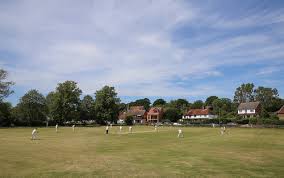Image result for Newenden Cricket Club