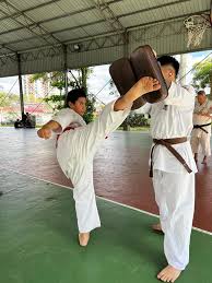 Image result for Blackpool Budokan Martial Arts