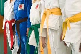 Image result for International Hapkido Bridport