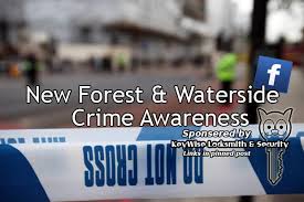 Image result for New Forest/Waterside