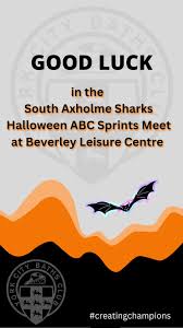 Image result for South Axholme Sharks Asc