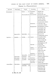 Image result for Myzopsetta ferruginea