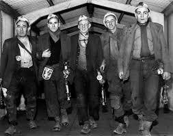 Image result for St Helens Miners