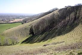 Image result for Ewhurst Stoolball Club