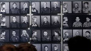 Image result for Derkawi Holocaust
