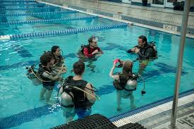 Image result for Discover Swimming