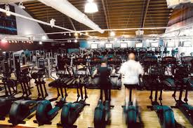 Image result for David Lloyd (Leeds) Badminton Club