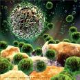 Hiv Human Immunodeficiency Virus photos and related clinical trials
