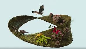 Image result for genus