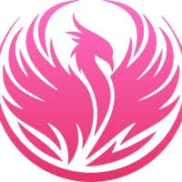 Image result for Phoenix Netball Club
