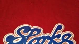 Image result for Sparks Netball Bristol