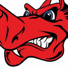 Image result for Dragons Softball Club