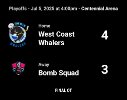 Image result for West Coast Wasps Skater Hockey Club