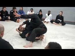 Image result for 210 JiuJitsu