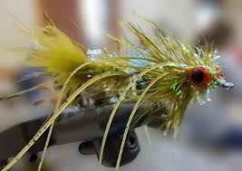 Image result for Segdoune Flyfishers` Angling Club