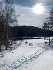 「木下秀美」の画像検索結果