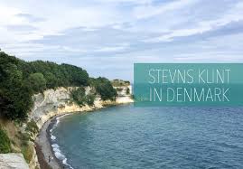 Image result for stevns klint