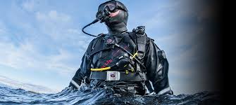 Image result for Duchy Divers