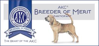 Image result for Carlisle BloodHounds