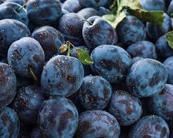 Attēlu rezultāti vaicājumam “Rubus plicatus fruit”