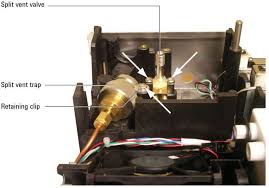 Image result for Splitz Gc