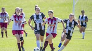 Image result for Warwick Wolves