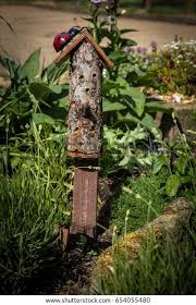 Image result for ladybug house