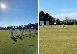 Image result for Oxford Downs Cricket Club