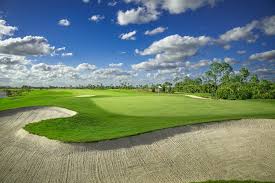 Image result for Feltwell Golf Club