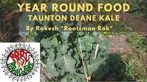 Image result for Taunton Deane