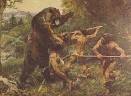 the evolution of man