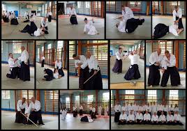 Image result for Durham City Aikikai