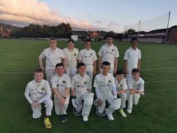 Image result for North Down Cricket Club
