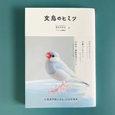 「海老沢和生」の画像検索結果