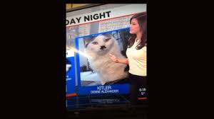 Image result for kitler