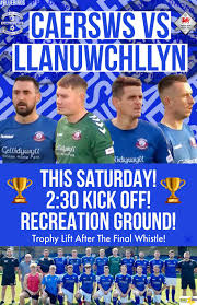 Image result for Caersws Quoits Club